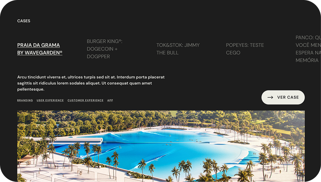 Detail of a Ginga website case study page.