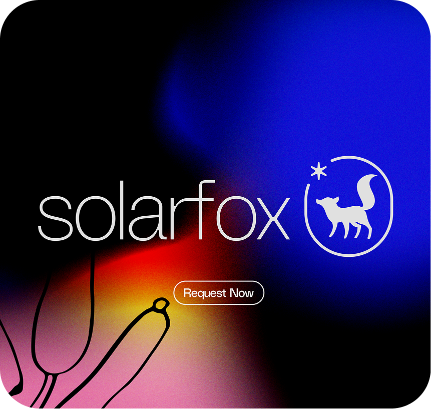 Detail of the Solarfox app onboarding flow.